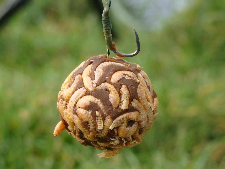 Atentie,imagini socante +18 - 9349844594087874758302090075219n.jpg